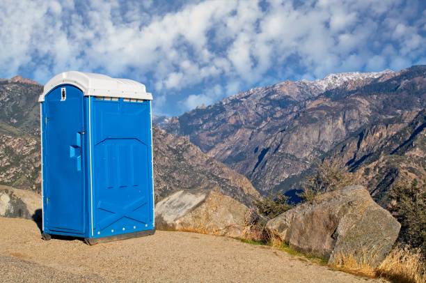 Best Affordable portable toilet rental  in Holly, MI
